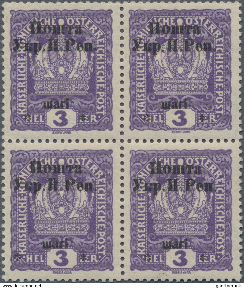 Westukraine: 1919, 1st Stanislaus Issue Sch On 3 H. Varieties: "no Dot After H" (Pos. 3), "wide Spac - Ukraine