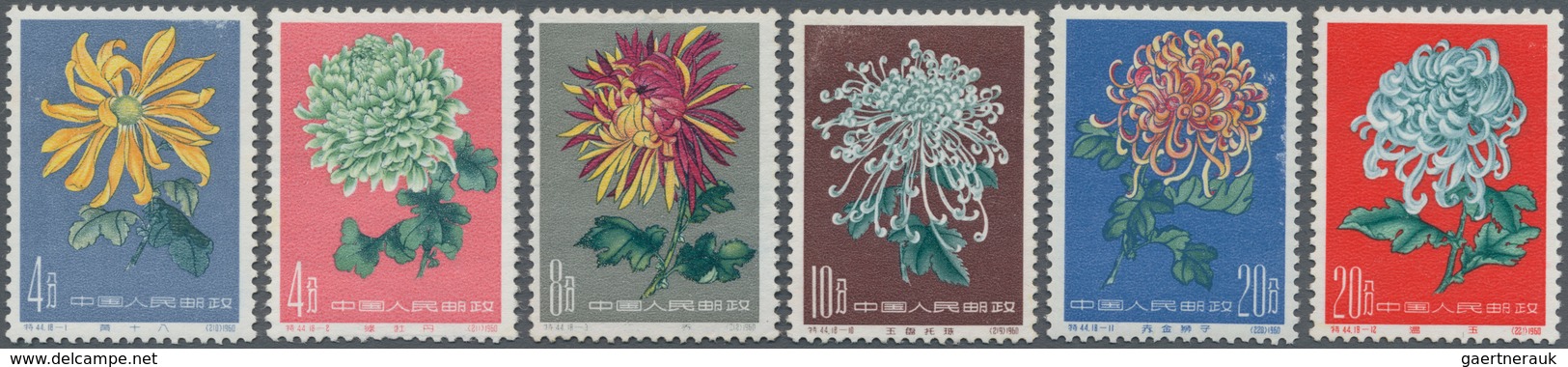 China - Volksrepublik: 1960/61, Chrysanthemums (S44), Complete Set Of 18, All MNH, Partly With Margi - Lettres & Documents