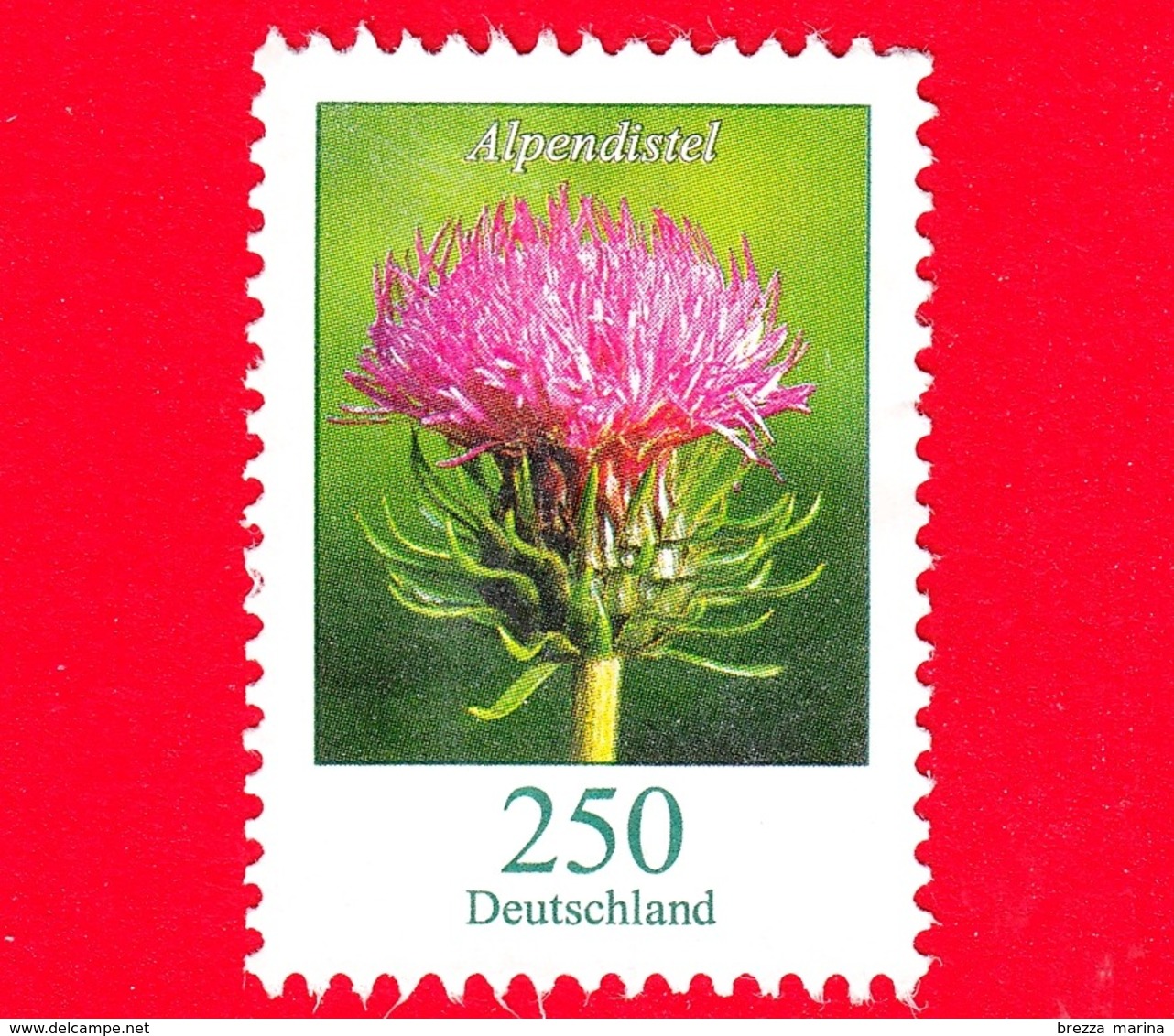 GERMANIA - Usato - 2016 - Fiori - Cardo - Carduus Defloratus - Thistle - 250 - Used Stamps