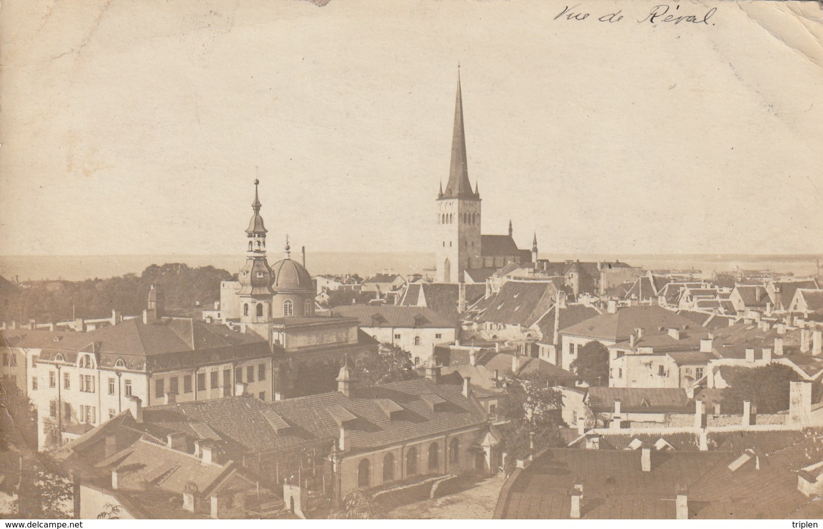 Tallinn - Vue De Réval - Carte Photo - Estonie