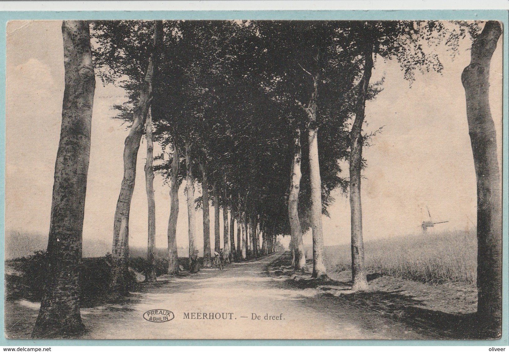 Meerhout : De Dreef (molen) - Meerhout