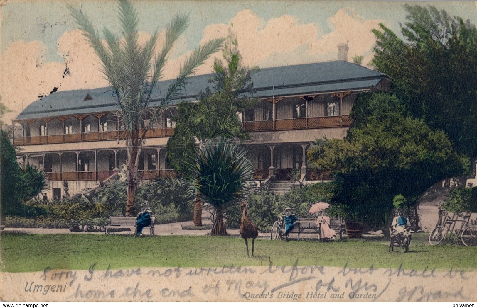 1904 SUDAFRICA , TARJETA POSTAL CIRCULADA , UMGENI - QUEEN'S BRIDGE HOTEL AND GARDEN - Sudáfrica