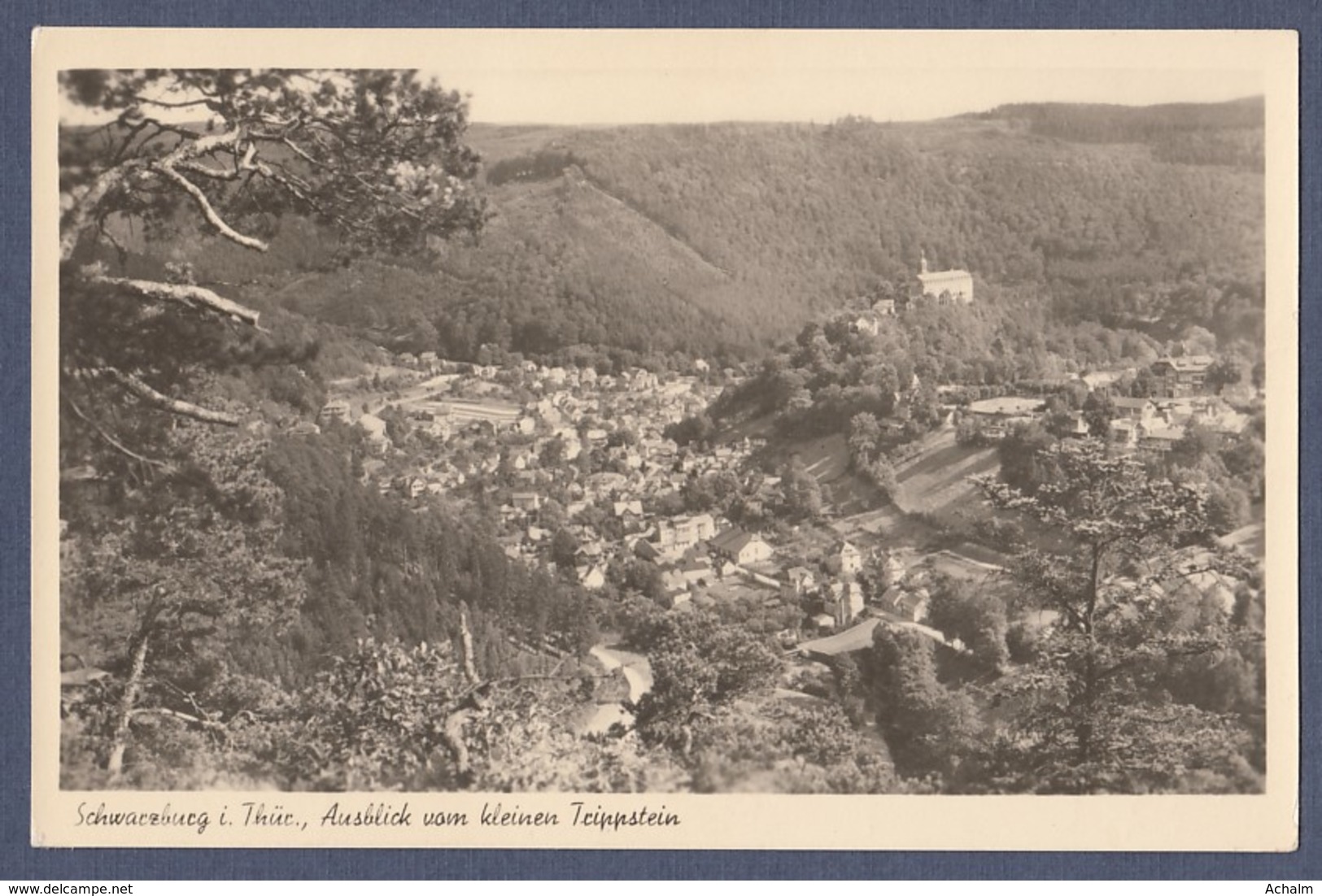 Schwarzburg Im Schwarzatal - Vom Trippstein Gesehen - Saalfeld