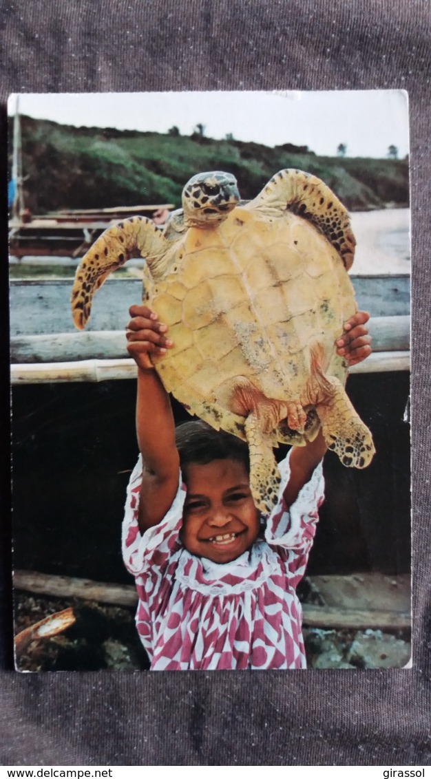 CPSM TORTUE RETOUR DE PECHE SUR LA PLAGE DE ST MAURICE ED REGE NOUVELLE CALEDONIE - Schildpadden