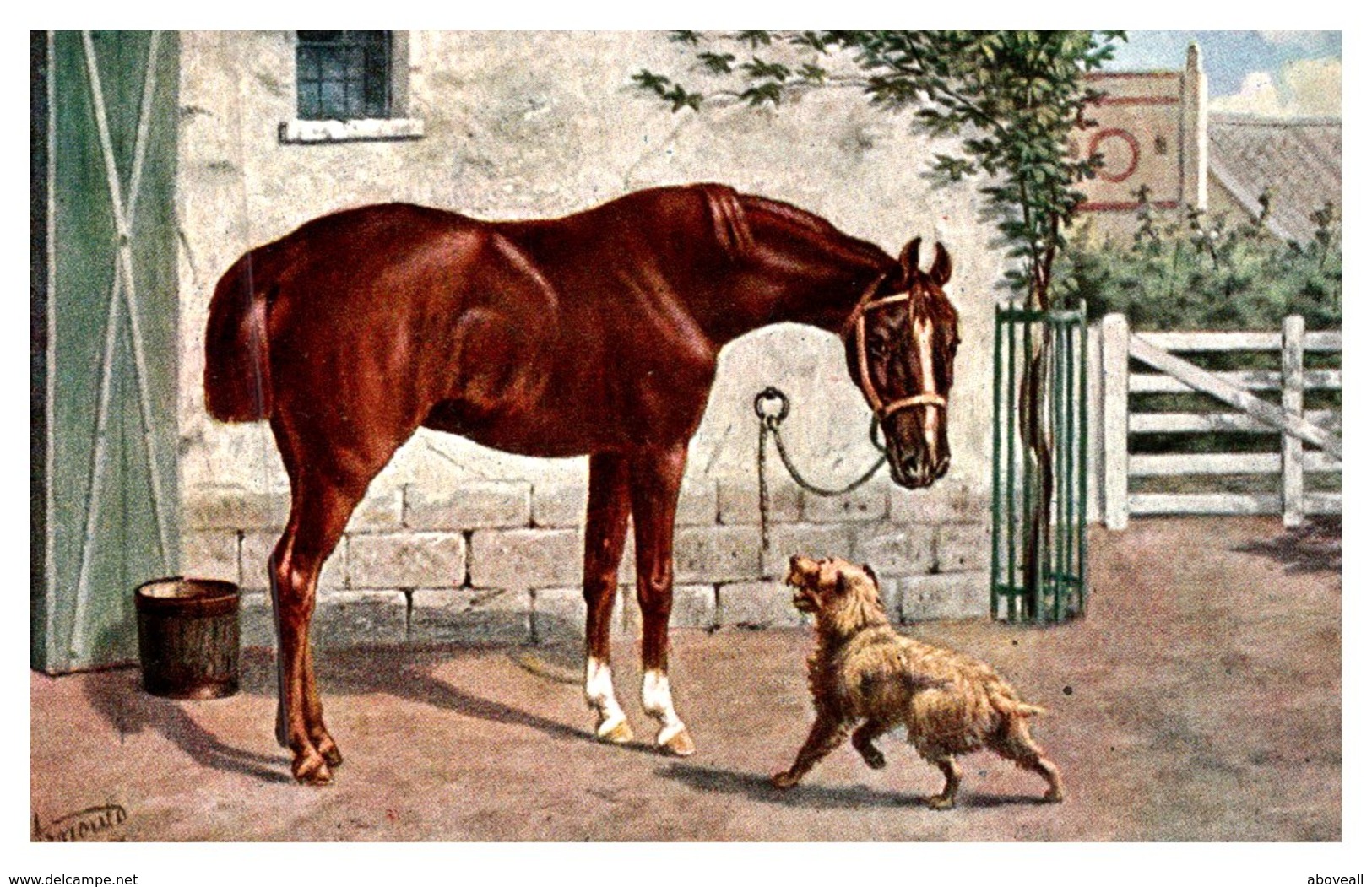 Horse , Hunter - Horses