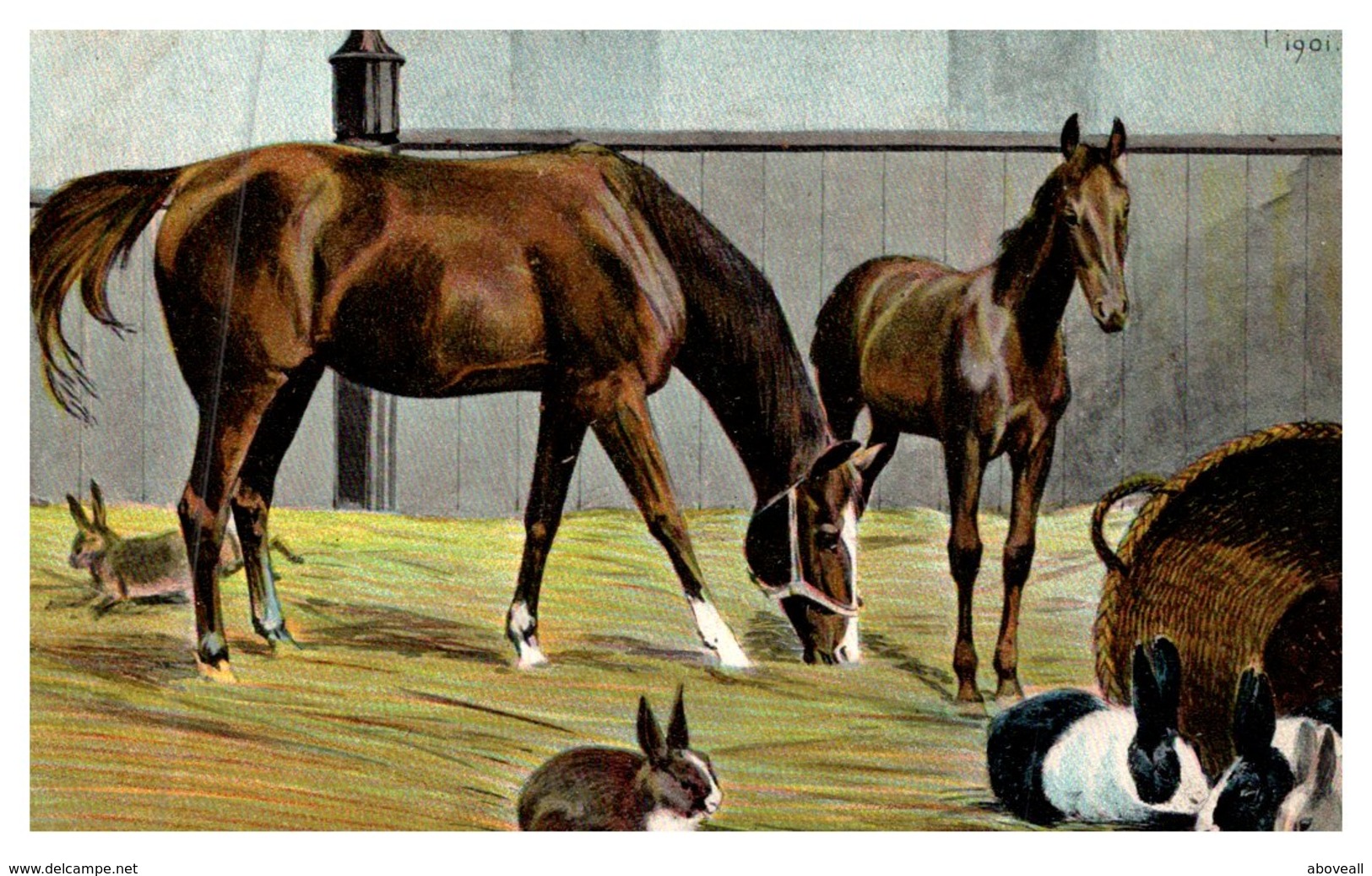 Horse ,  Hunter And Foal - Horses