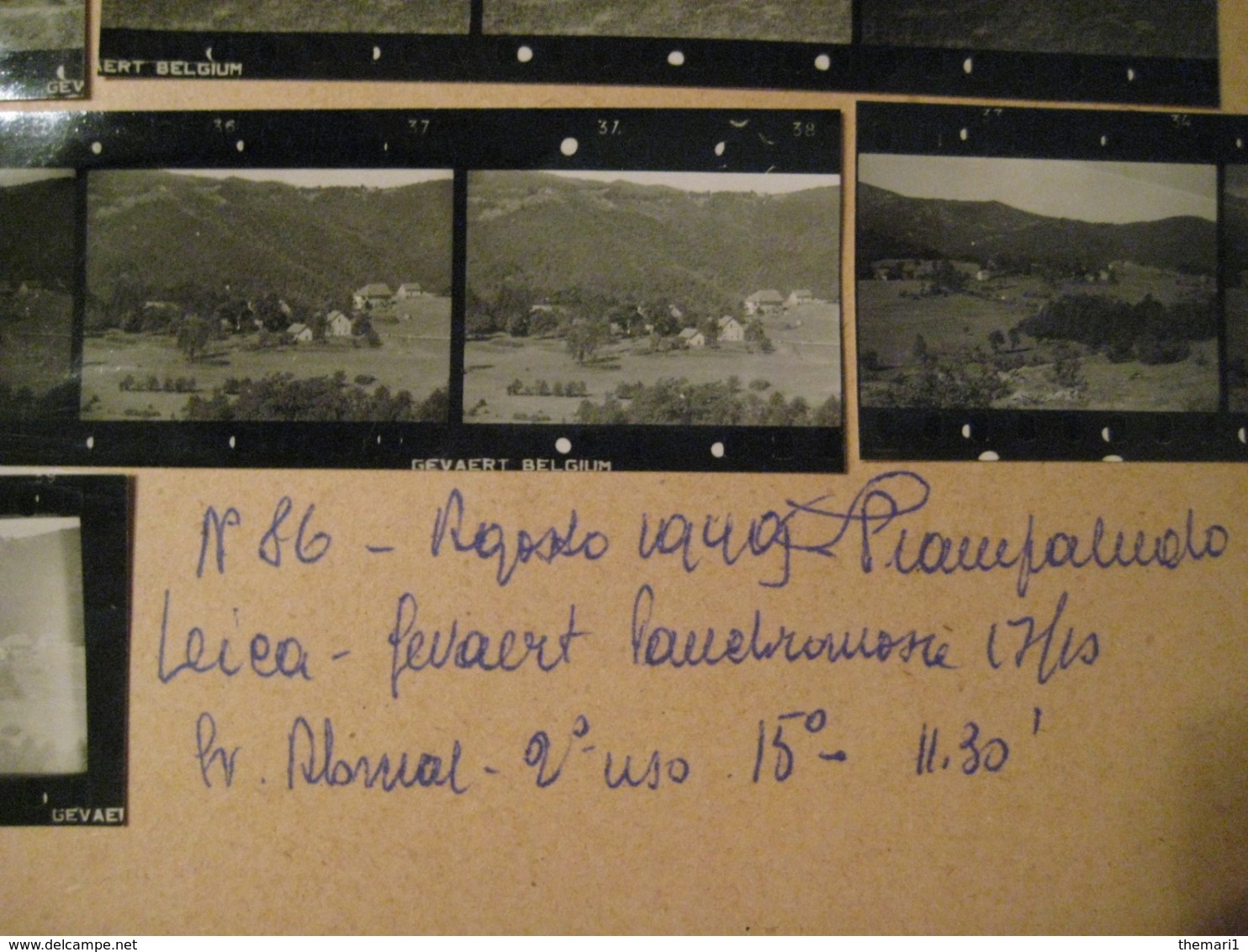15 + 1 PROVINI FOTO SU FOGLIO 1949 PIAMPALUDO PAESAGGI - Luoghi