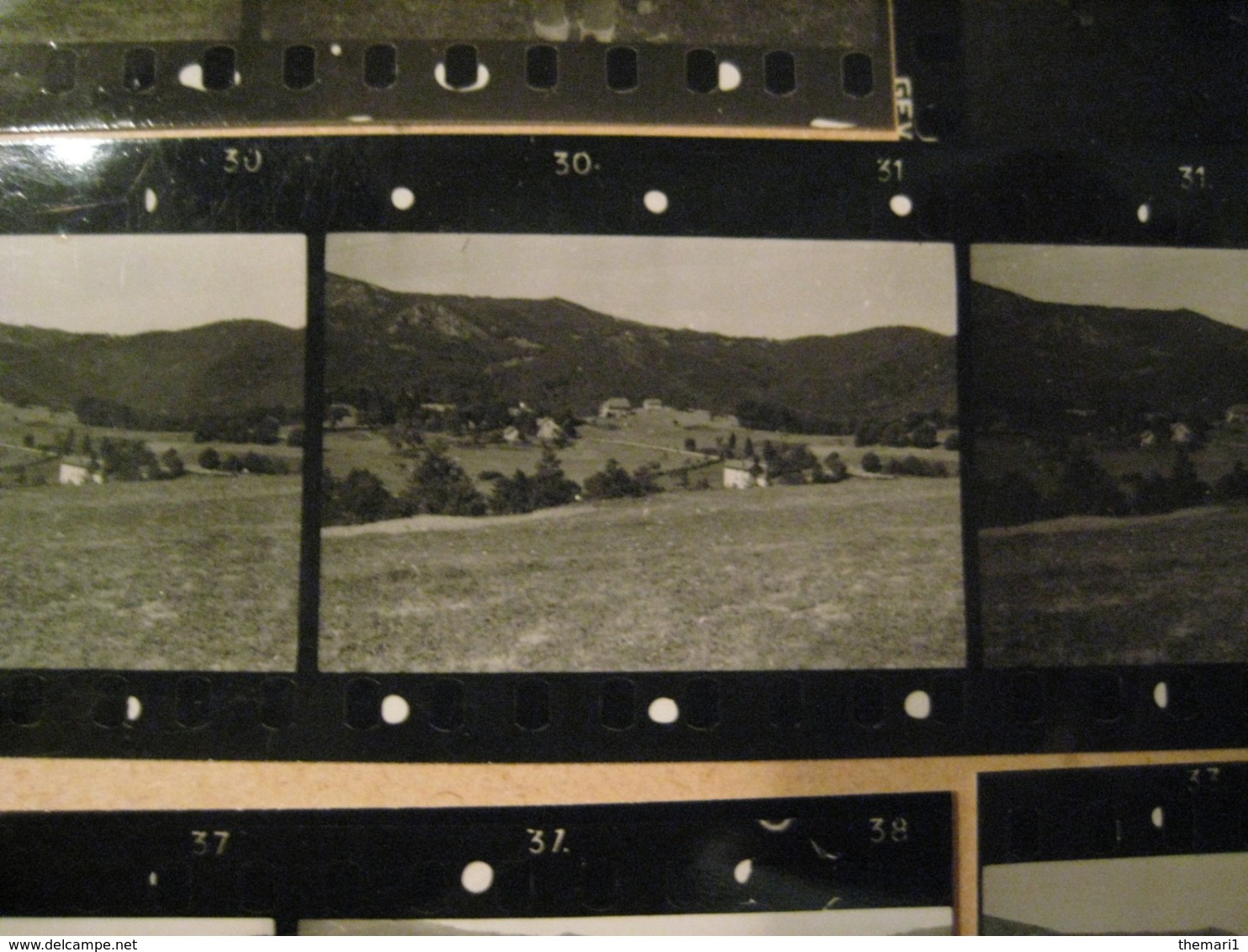 15 + 1 PROVINI FOTO SU FOGLIO 1949 PIAMPALUDO PAESAGGI - Luoghi