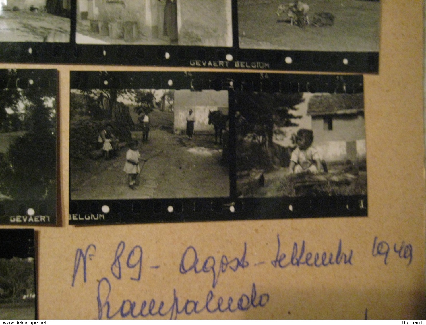 33 PROVINI FOTO SU FOGLIO 1949 PIAMPALUDO CONTADINI MUCCHE PAESAGGI PERSONE CASE E ALTRO - Places