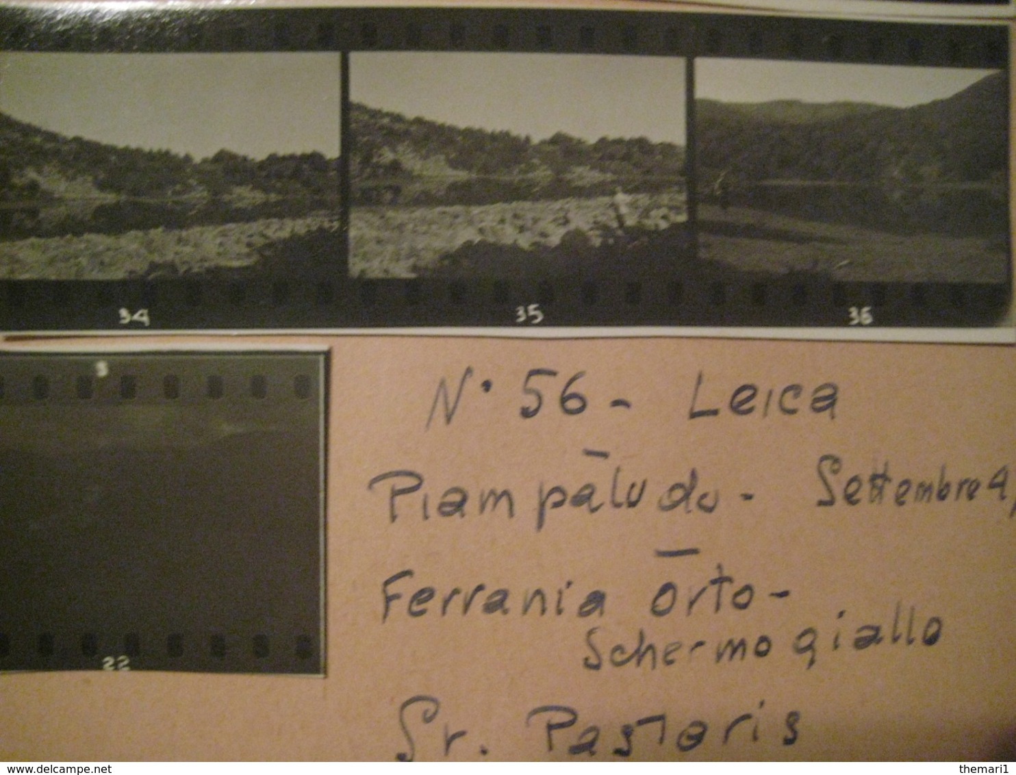 31 PROVINI FOTO SU FOGLIO 1947 PIAMPALUDO CONTADINI PAESAGGI  E ALTRO - Luoghi