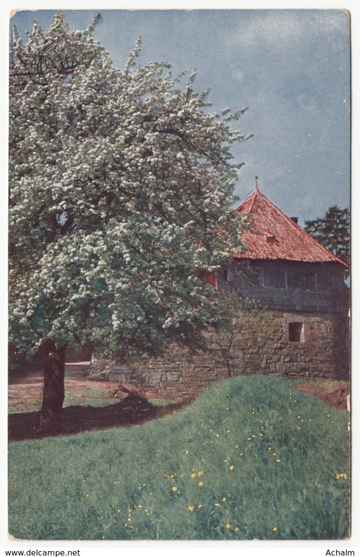 Baumblüte In Ländlicher Umgebung - 1915 - Bäume