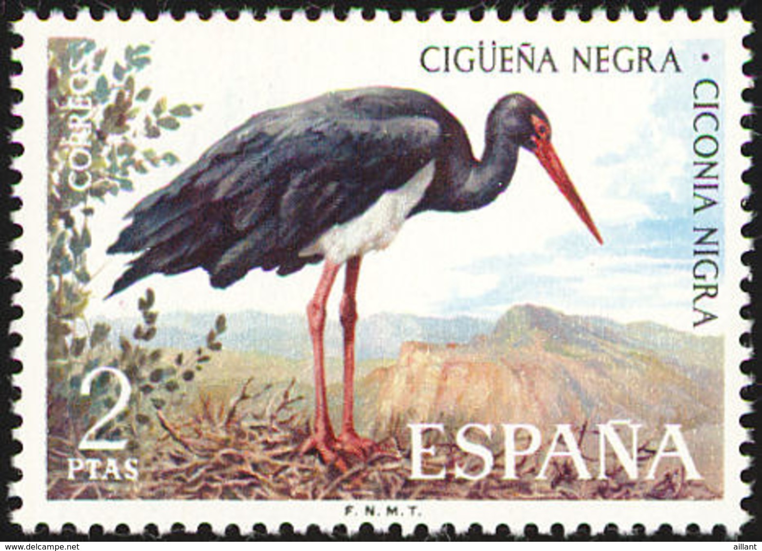 Espagne. Spain..1973.Cigogne Noire. Black Stork - Cigognes & échassiers