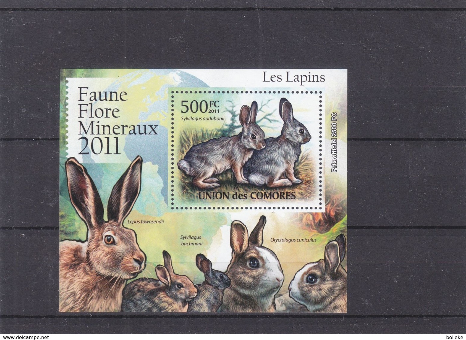 Lapins - Comores - Yvert BF 316 ** - MNH - Valeur 20 Euros - Conejos