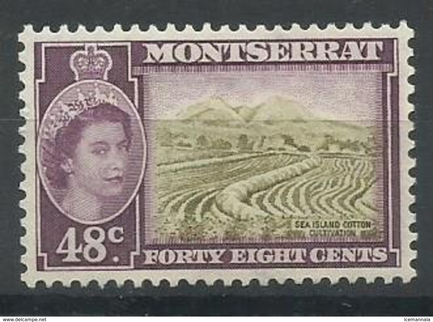 MONTSERRAT  YVERT  140    MNH  ** - Montserrat