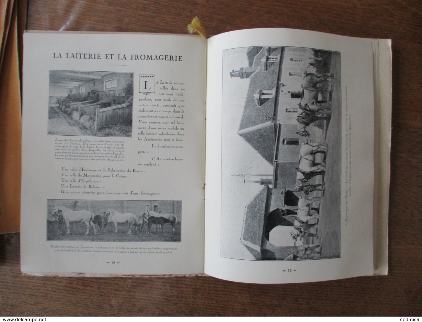 COURTONNE-LA-MEURDRAC "CLOS DU HOULLEY" EXPLOITATION NORMANDE DE CULTURE ET D'ELEVAGE PORCS,VACHES,LAITERIE FROMAGERIE C - Normandie