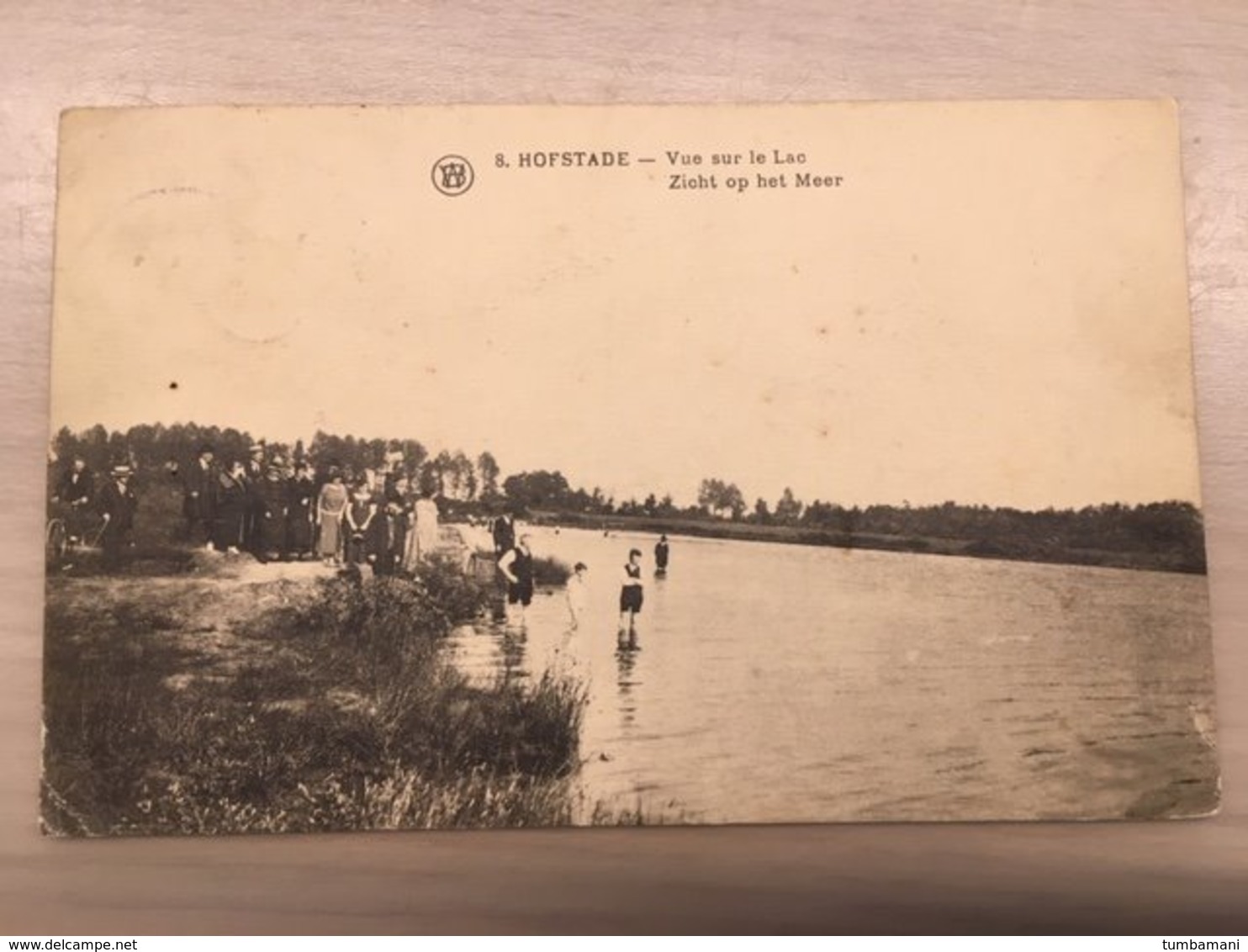 HOFSTADE ZICHT OP HET MEER VUE SUR LE LAC - Zemst