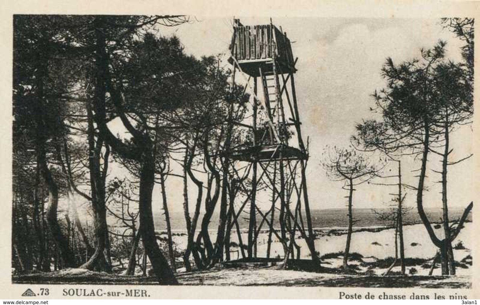 SOULAC   =  Poste De Chasse Dans Les Pins.   886 - Soulac-sur-Mer