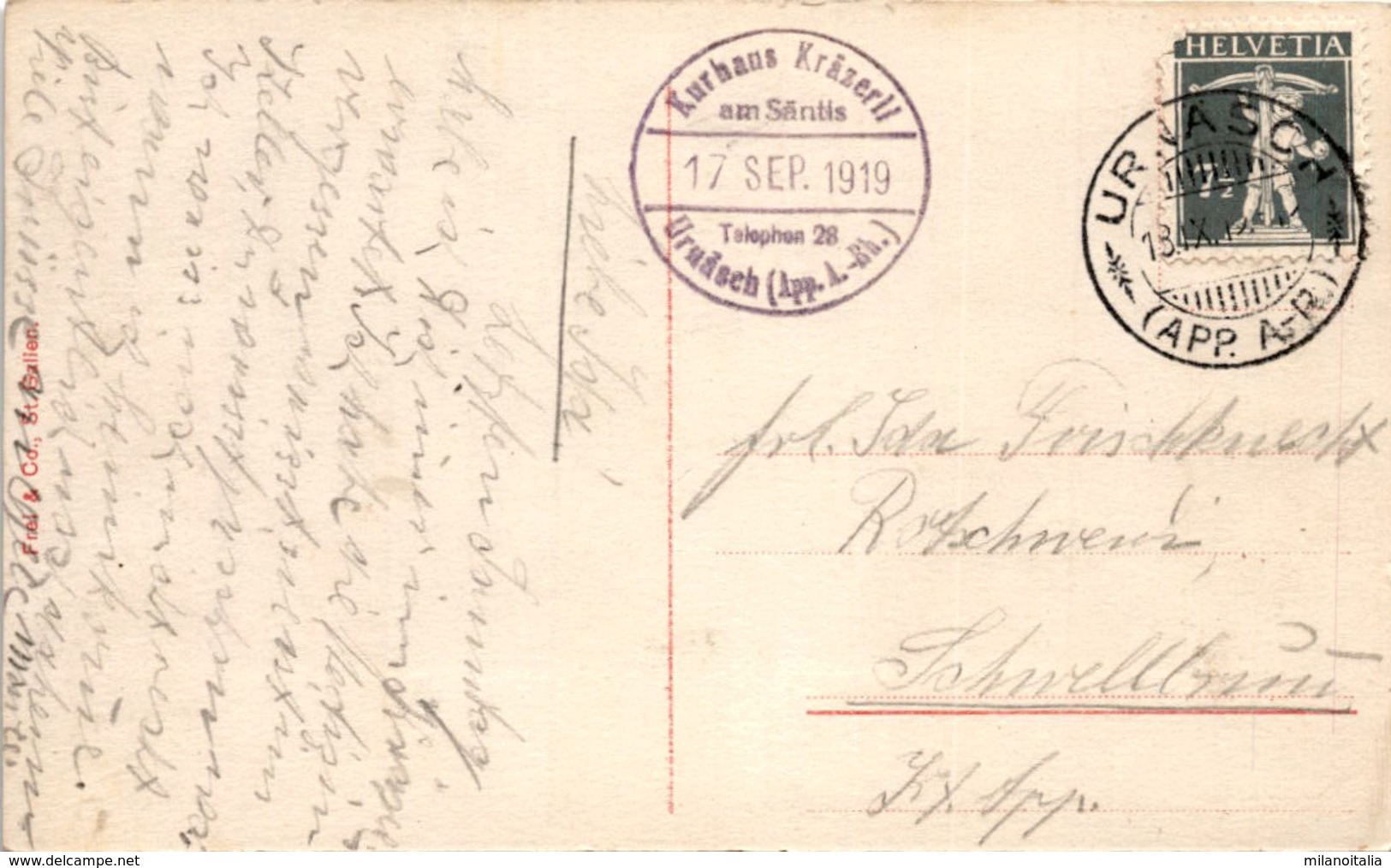 Steinwild Im Schweiz. Hochgebirge (1081) * Poststempel Urnäsch 18. 9. 1919 - Urnäsch