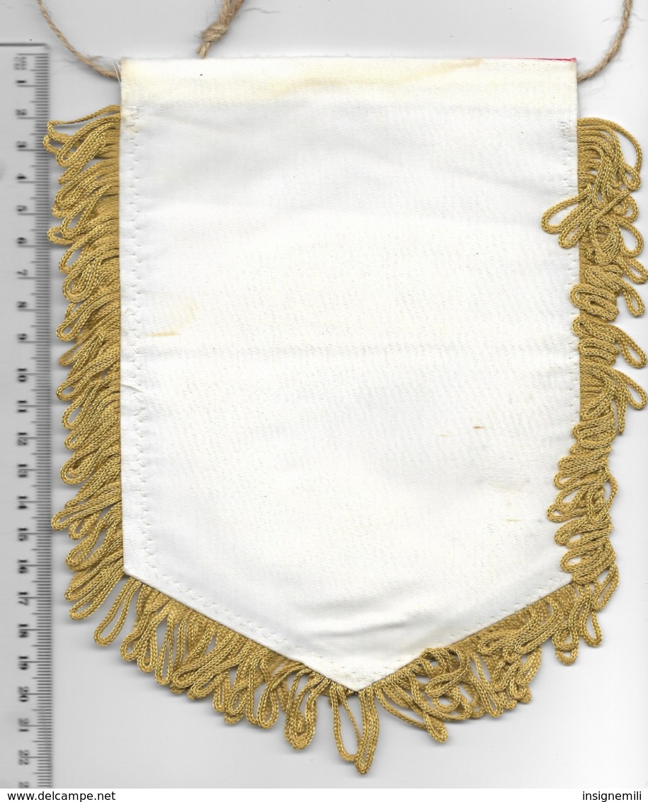 FANION 8° RA REGIMENT D' ARTILLERIE REGIMENT D' AUSTERLITZ - Flags