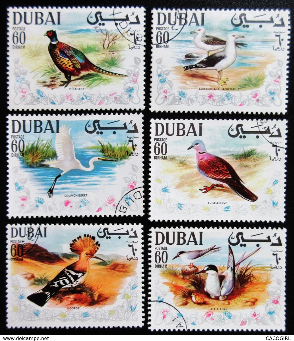 DUBAI Oiseaux 6 Timbres Oblitérés BE - Dubai