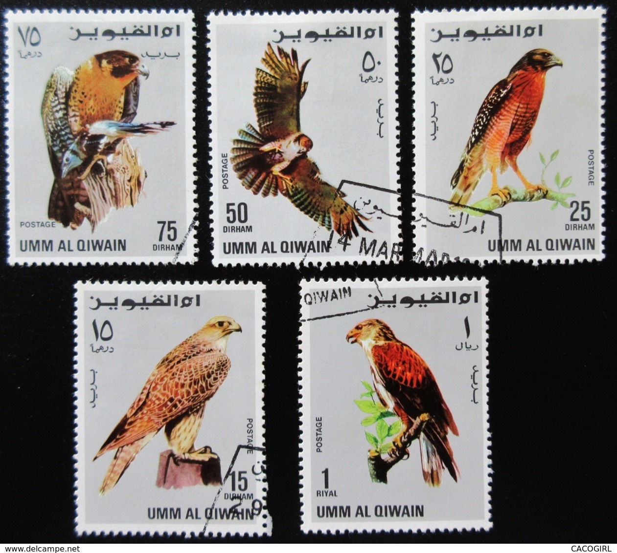 Umm Al-Qiwain 5 Timbres Oiseaux Rapaces - Aigles & Rapaces Diurnes