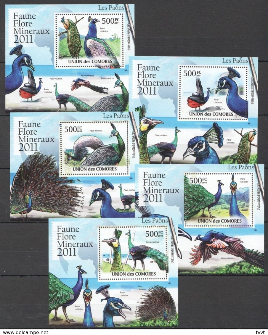 Comoros, 2011. [cm11L13] Birds (Deluxe-blocks) - Sonstige & Ohne Zuordnung