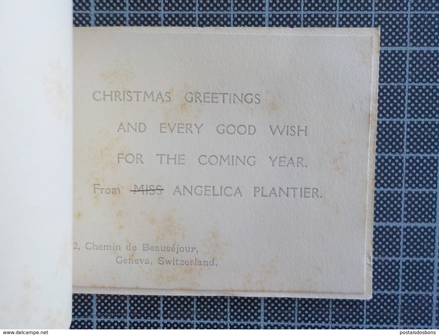 Cx 11) Christmas Greetings From Angelica Planter Geneva Switzerland 8x10cm - Other & Unclassified