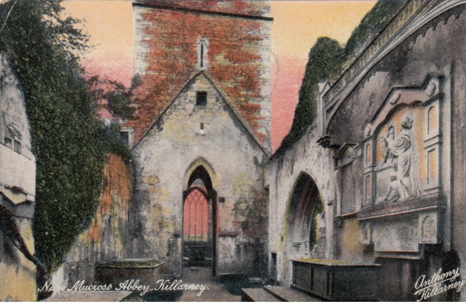 Killarney, Ireland, 1900-1910s ; Nave Muckross Abbey - Kerry