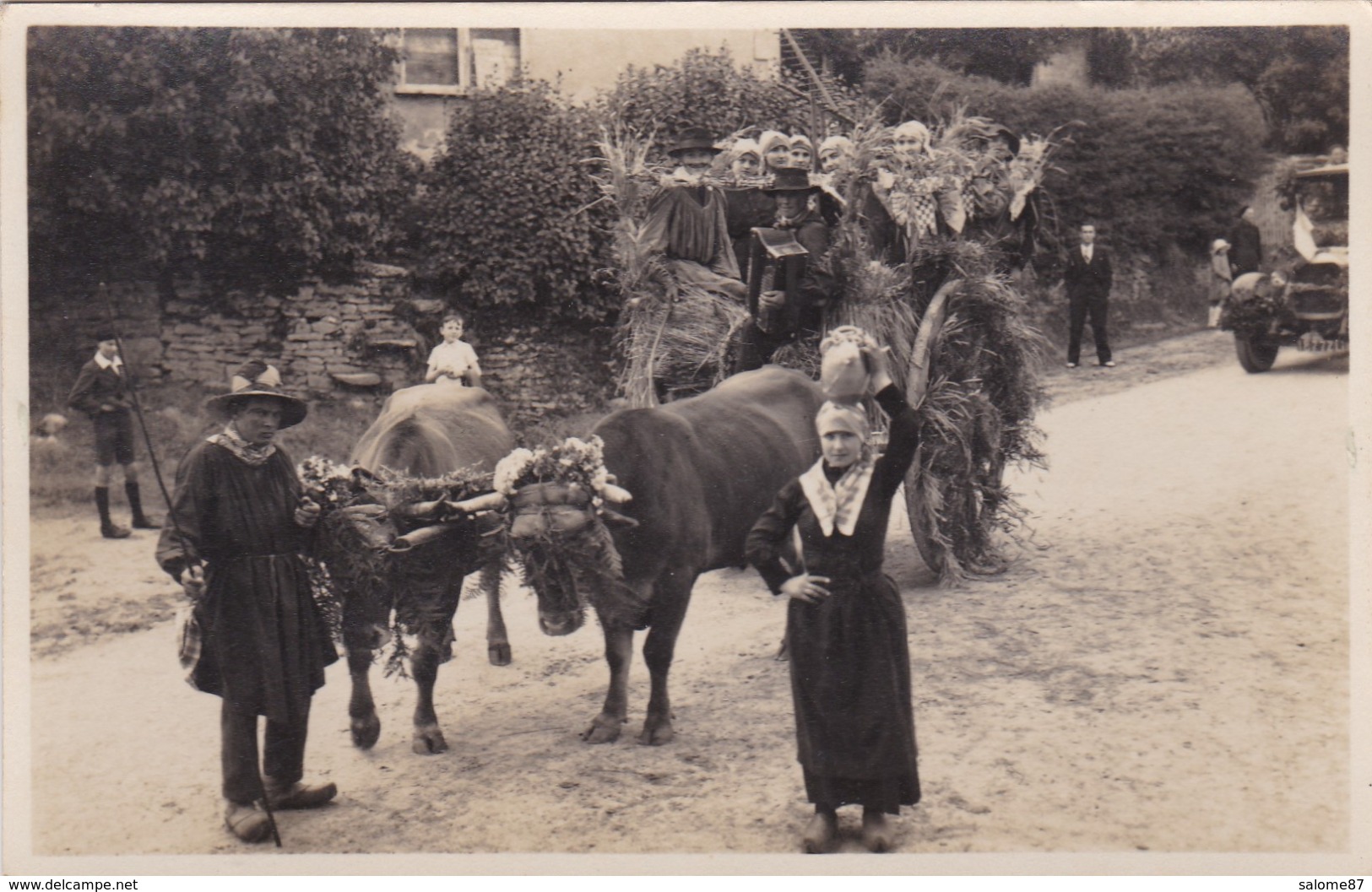 PHOTO  ATTELAGE VACHES - Autres & Non Classés