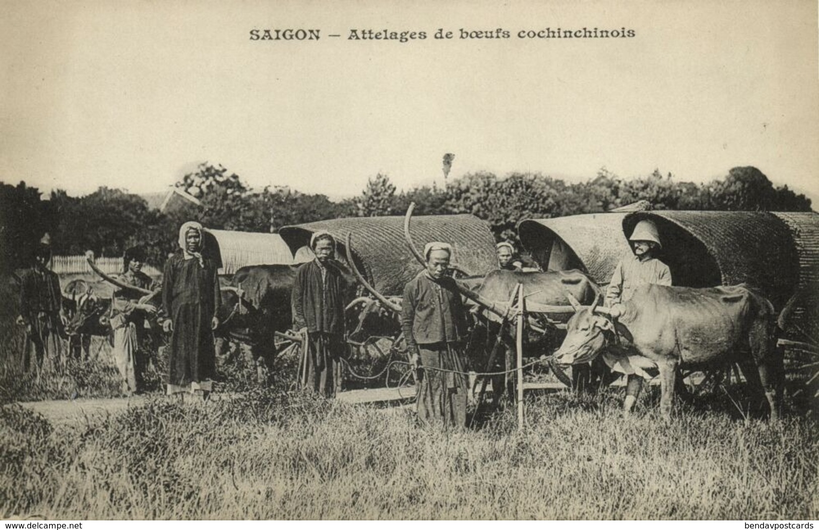 Indochina, SAIGON, Attelages De Bœufs Cochinchinois, Ox Carts (1899) Postcard - Viêt-Nam