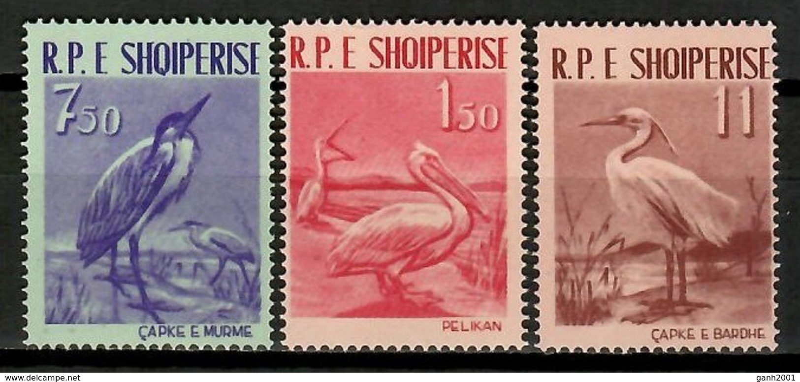 Albania 1961 / Birds MNH Vögel Aves Oiseaux / Cu13418  36-56 - Otros & Sin Clasificación