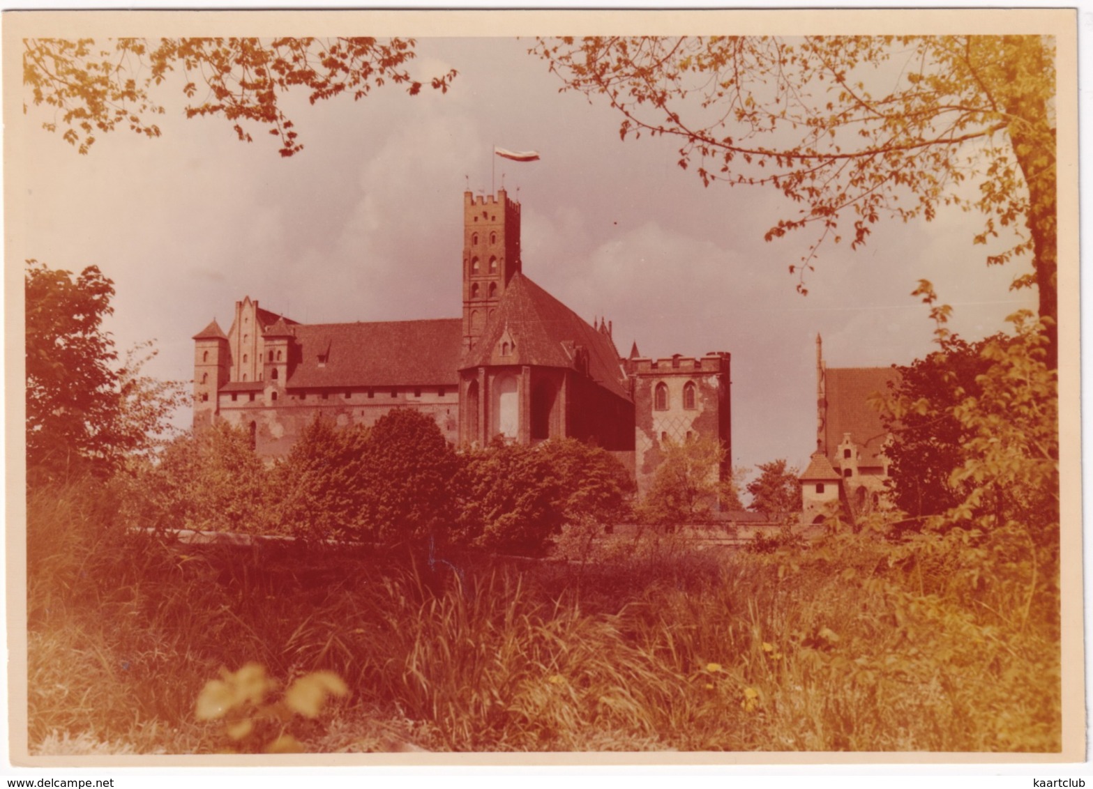 Malbork - Widok Zamku Od Strony Wschodniej - (Poland) - Polen