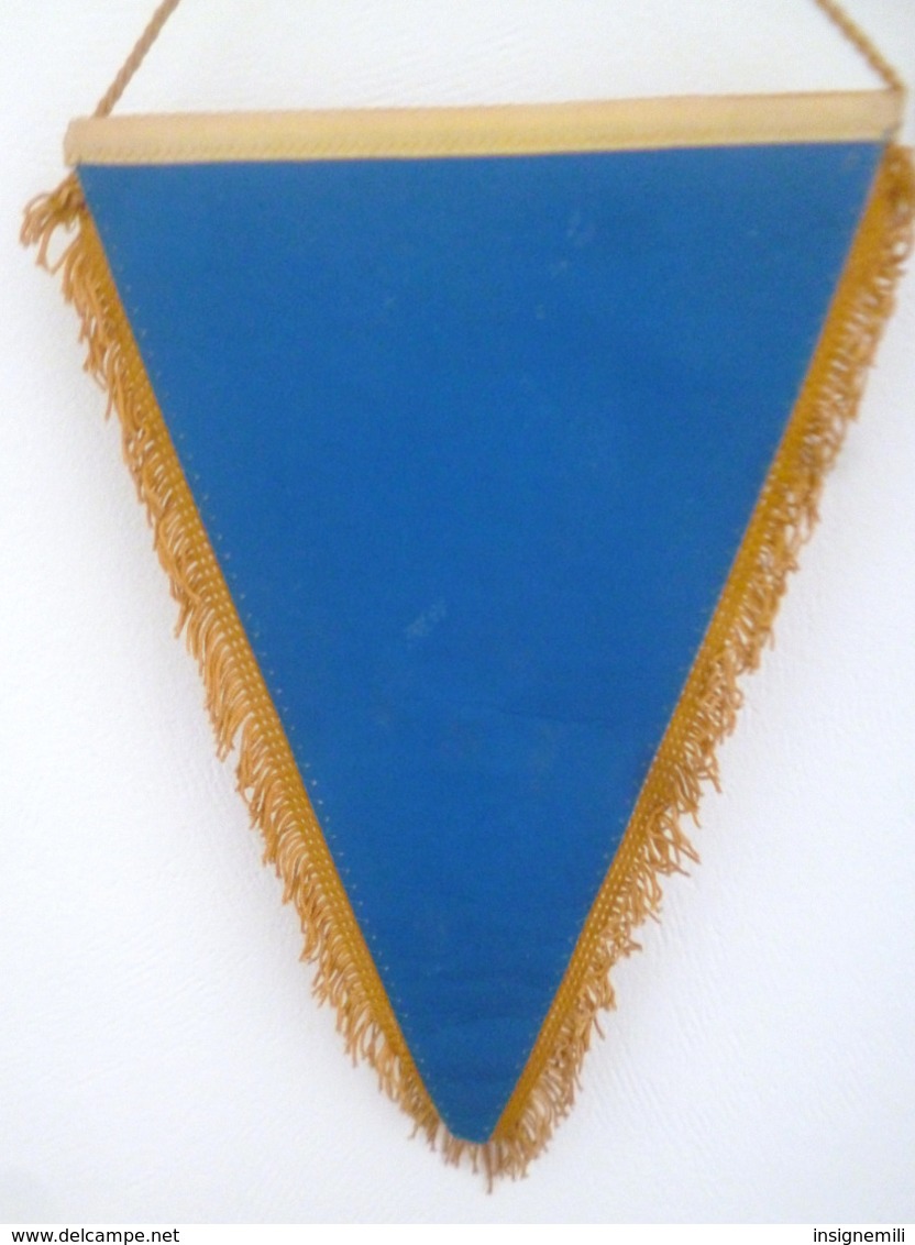 FANION  7° RA REGIMENT D' ARTILLERIE NEVERS - LR PARIS - Drapeaux