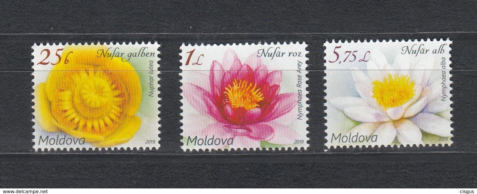 Moldova Moldawien MNH** 2019  Mi 1098-1100 Water Lily SALE - Moldawien (Moldau)