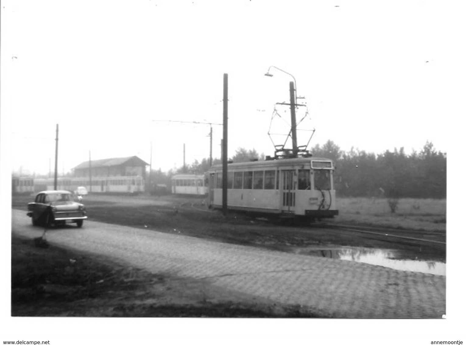 Brasschaat  Polygoon - Trams (Foto 1966). - Brasschaat