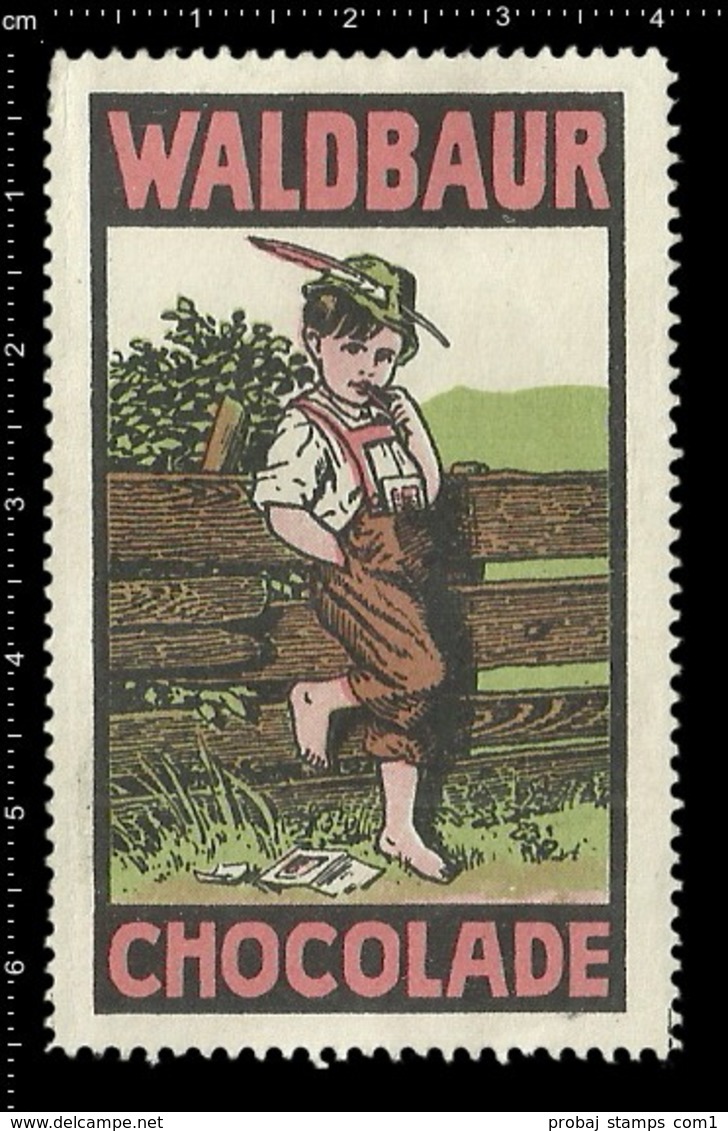Old Poster Stamp Cinderella Reklamemarke Erinnofili Vignette Waldbaur Chocolade Kid Kind. - Vignetten (Erinnophilie)
