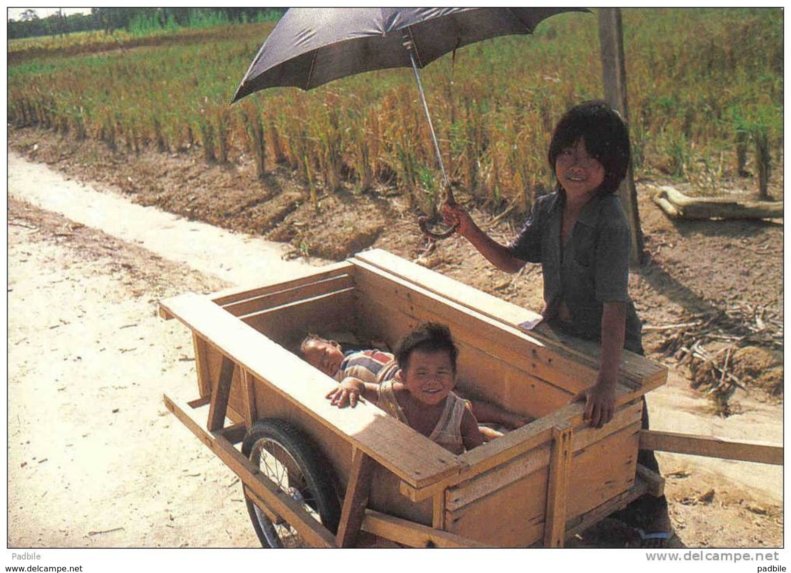 Carte Postale Dom Tom Guyane  Mana  Jeunes Hmong Au Retour Des Champs Très Beau Plan - Autres & Non Classés