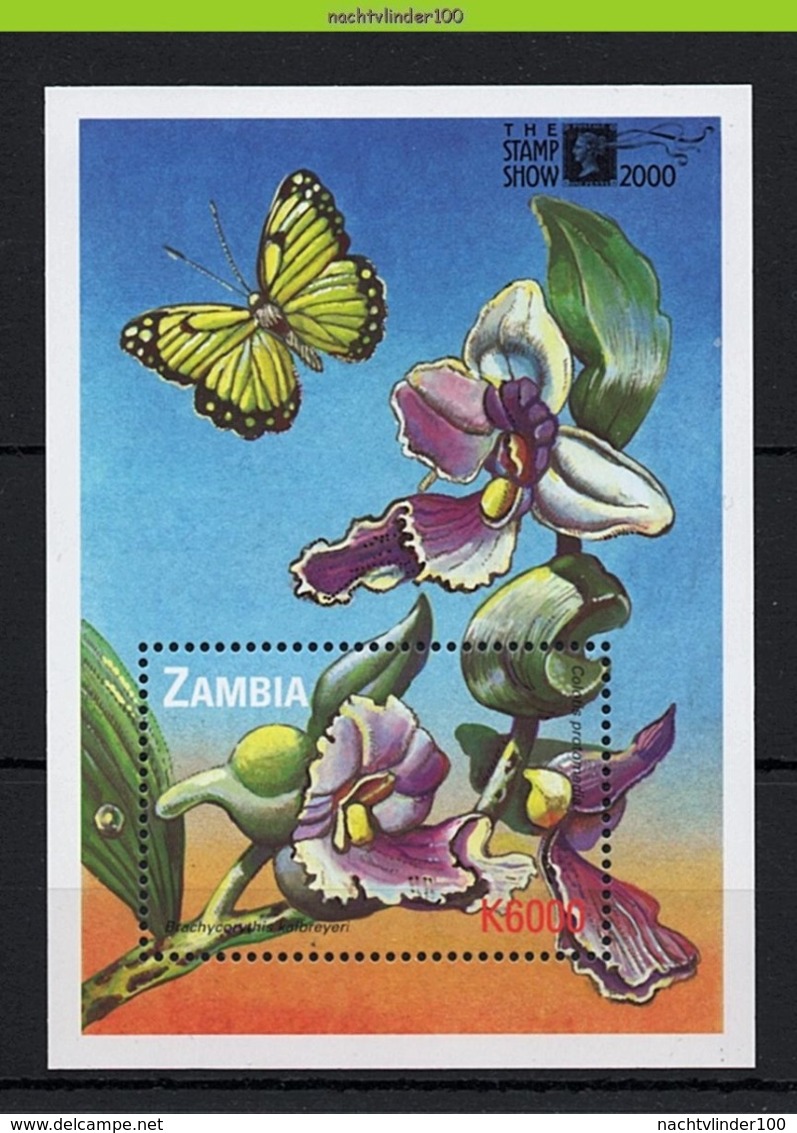 Nff034 FLORA BLOEMEN ORCHIDEE VLINDERS BUTTERFLIES FLOWERS ORCHIDS BLUMEN FLEURS FLORES ZAMBIA 2000 PF/MNH - Orchideeën