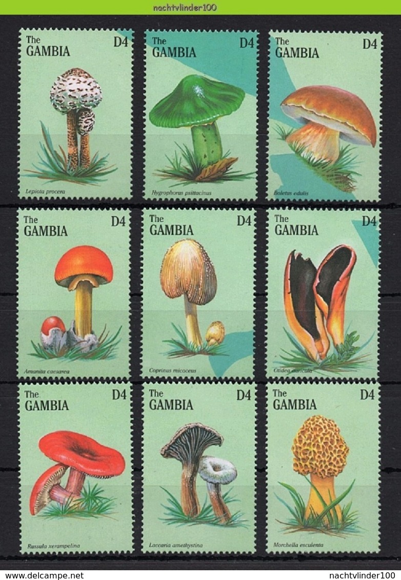 Nff041 FLORA PADDESTOELEN PADDENSTOELEN MUSHROOMS PILZE CHAMPIGNONS SETAS FUNGHI GAMBIA 1997 PF/MNH # - Paddestoelen