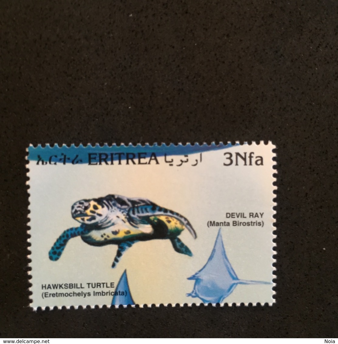ERITREA. FISH. TURTLE. MNH 5R063D - Schildkröten
