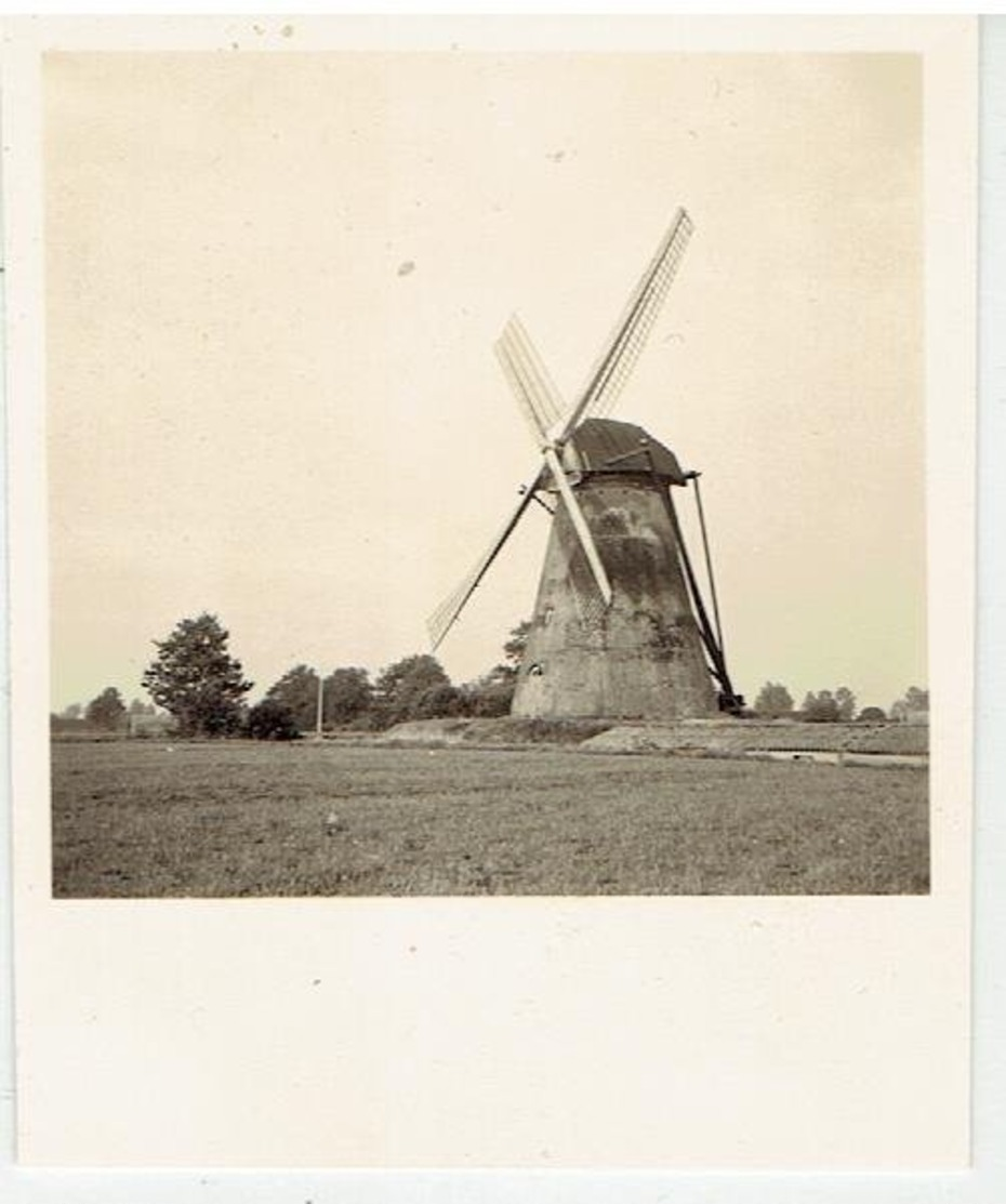 KASTERLEE - Kleine Foto 6 X 7 Cm - Stenen Molen  - Ong. 1958 - Kasterlee