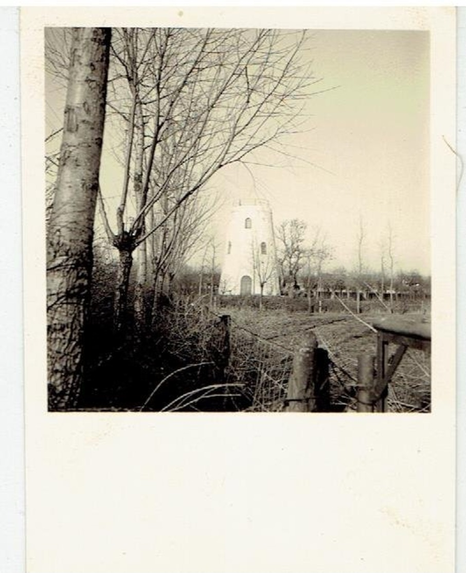 HOEKE - Damme  - Kleine Foto 6,3 X 8,5 Cm - Stenen Molen  - Ong. 1955 - Damme