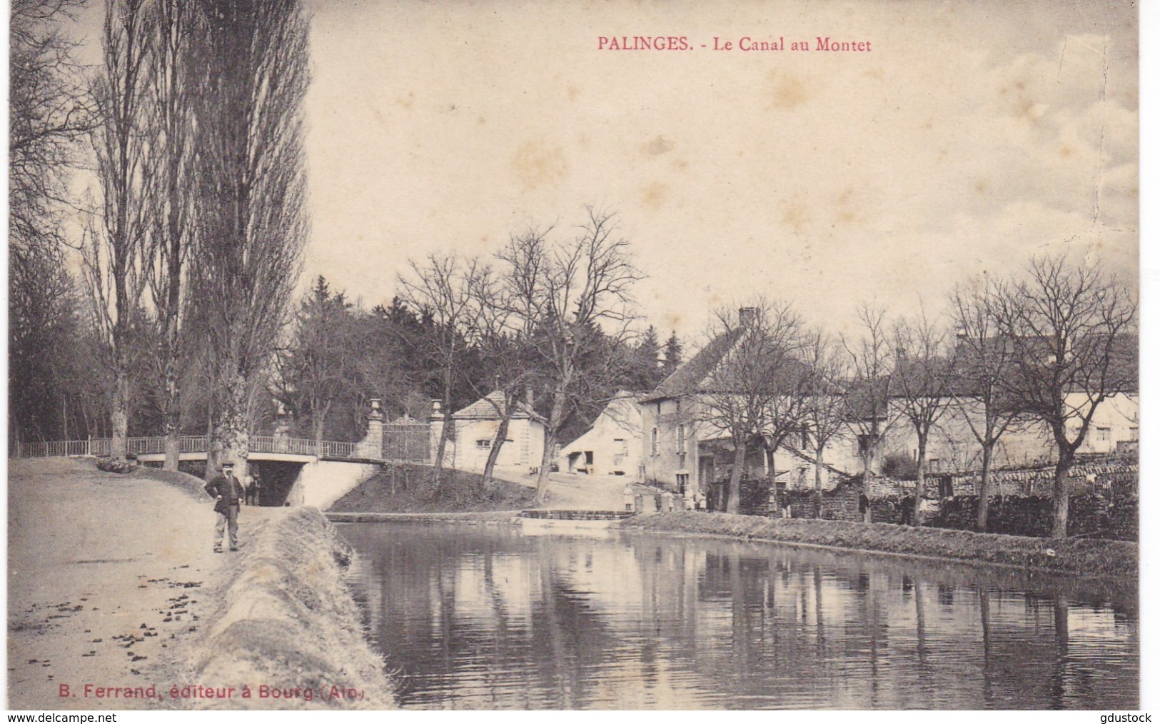 Saône-et-Loire - Palinges - Le Canal Au Montet - Autres & Non Classés