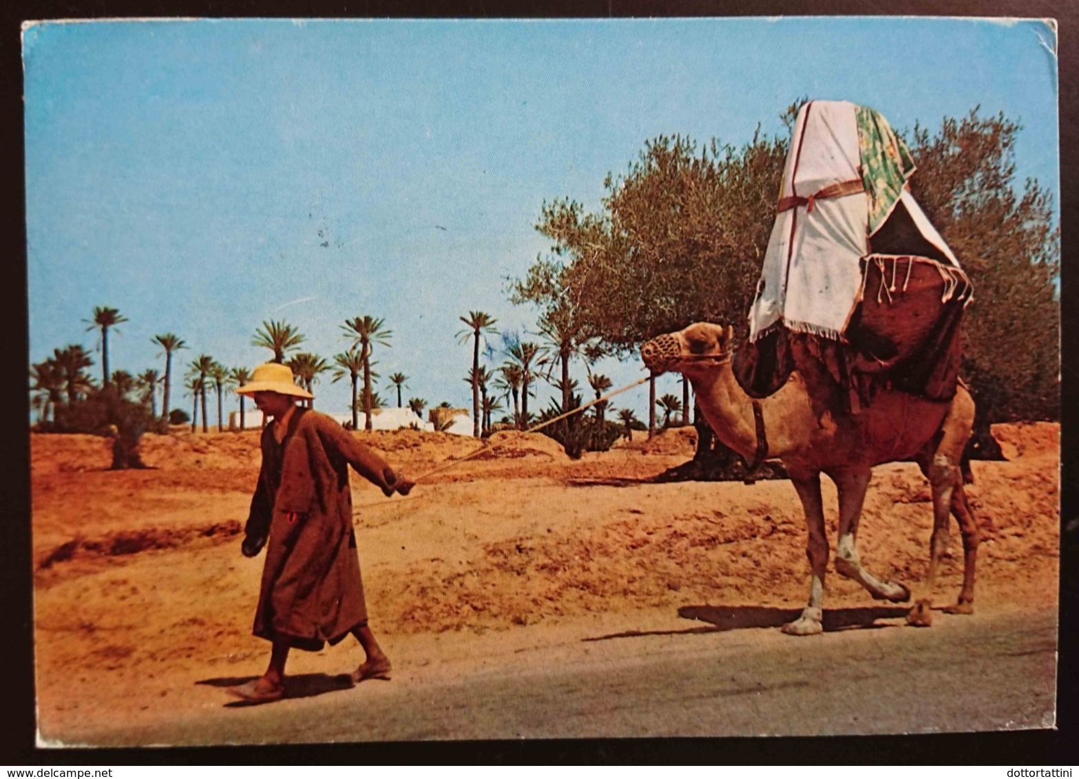 ILE DE DJERBA - La Johfa - Camel - TUNISIE -  Nice Stamp   Vg - Tunisia