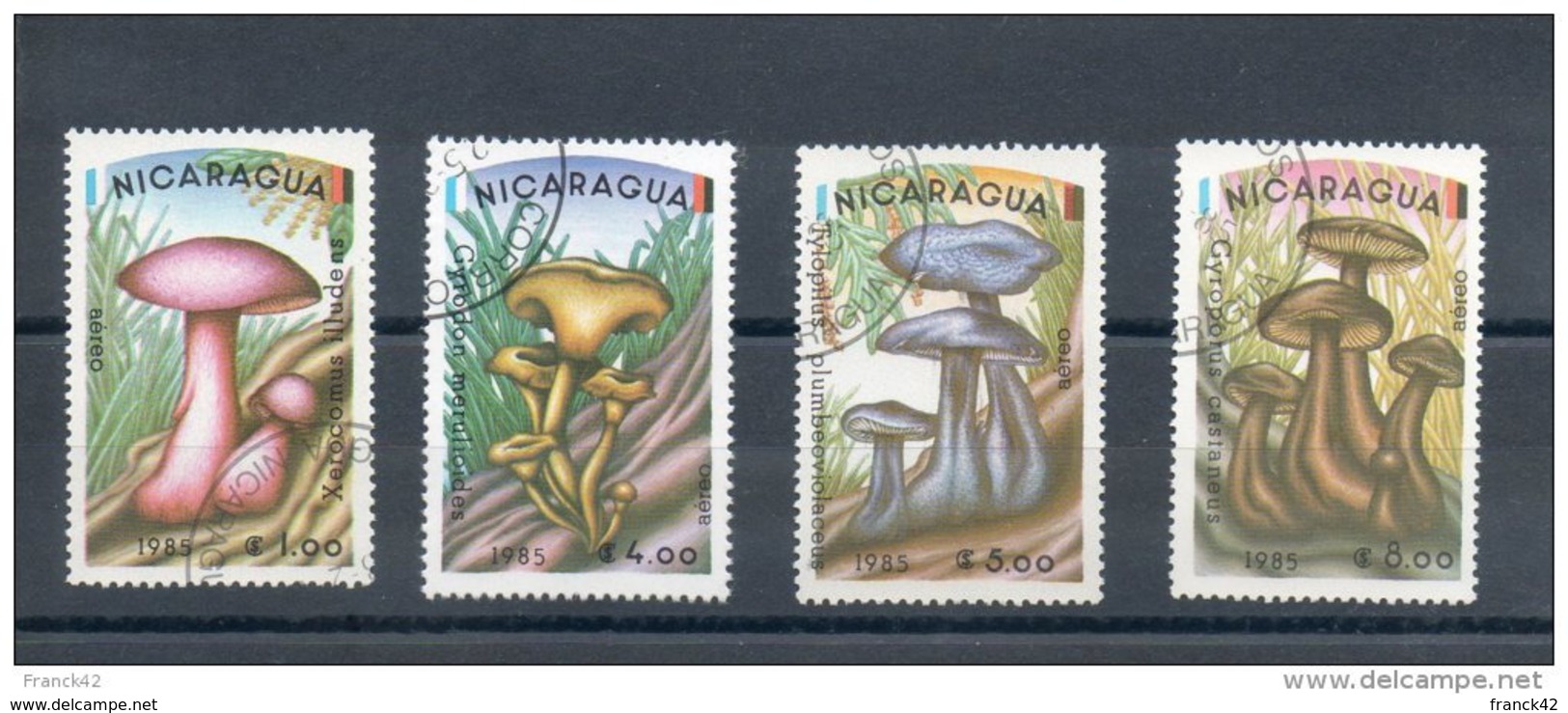 Nicaragua.  Poste Aérienne. Champignons - Nicaragua