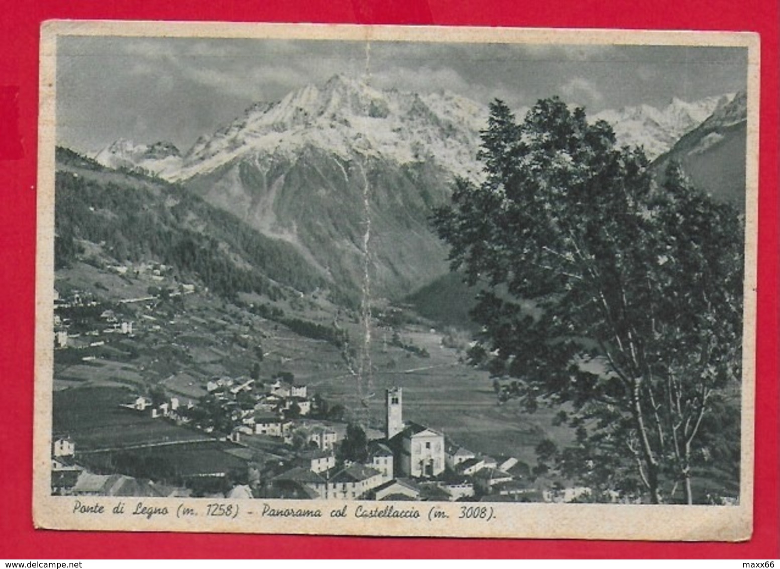 CARTOLINA VG ITALIA - PONTE DI LEGNO (BS) - Panorama Col Castellaccio - 10 X 15 - 1948 - Brescia