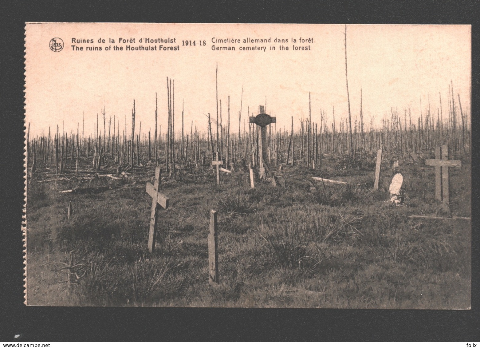 Houthulst - Ruines De La Forêt D'Houthulst - Cimetière Allemand Dans La Forêt - Houthulst