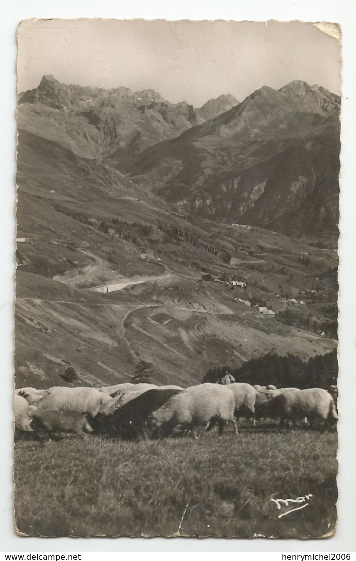 04 Basses Alpes - Col De Vars Paturages Moutons - Otros & Sin Clasificación