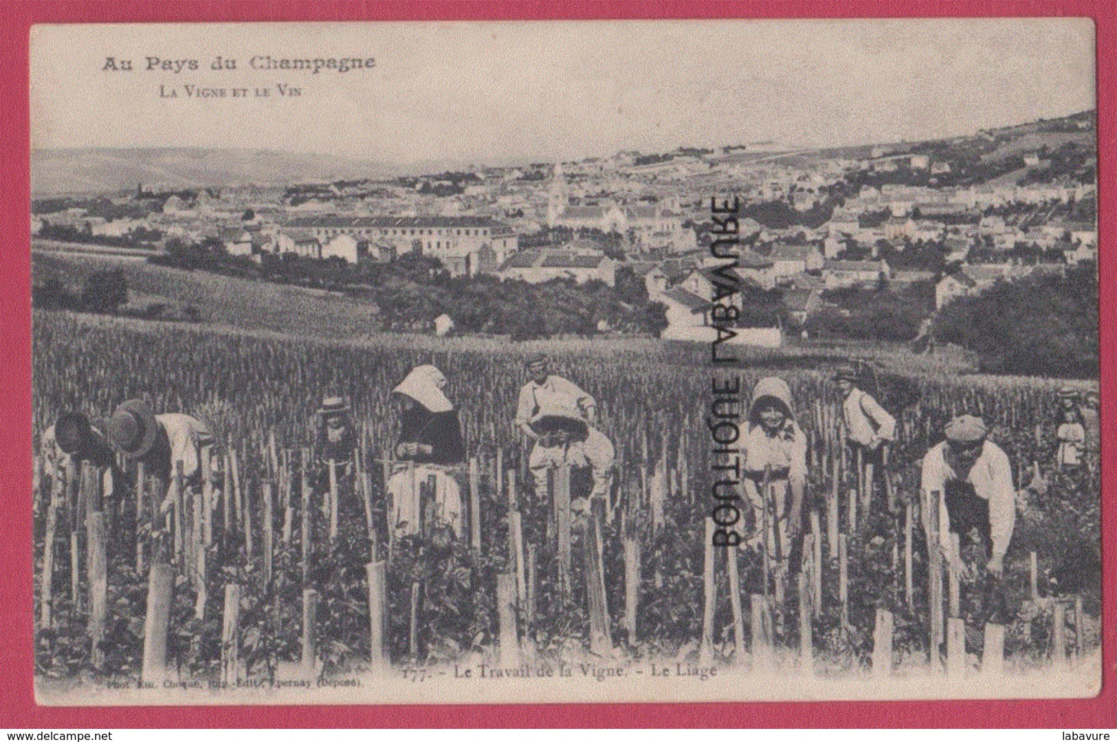 CHAMPAGNE---La Vigne Et Le Vin--Le Travail De La Vigne--Le Liage---animé - Sonstige & Ohne Zuordnung