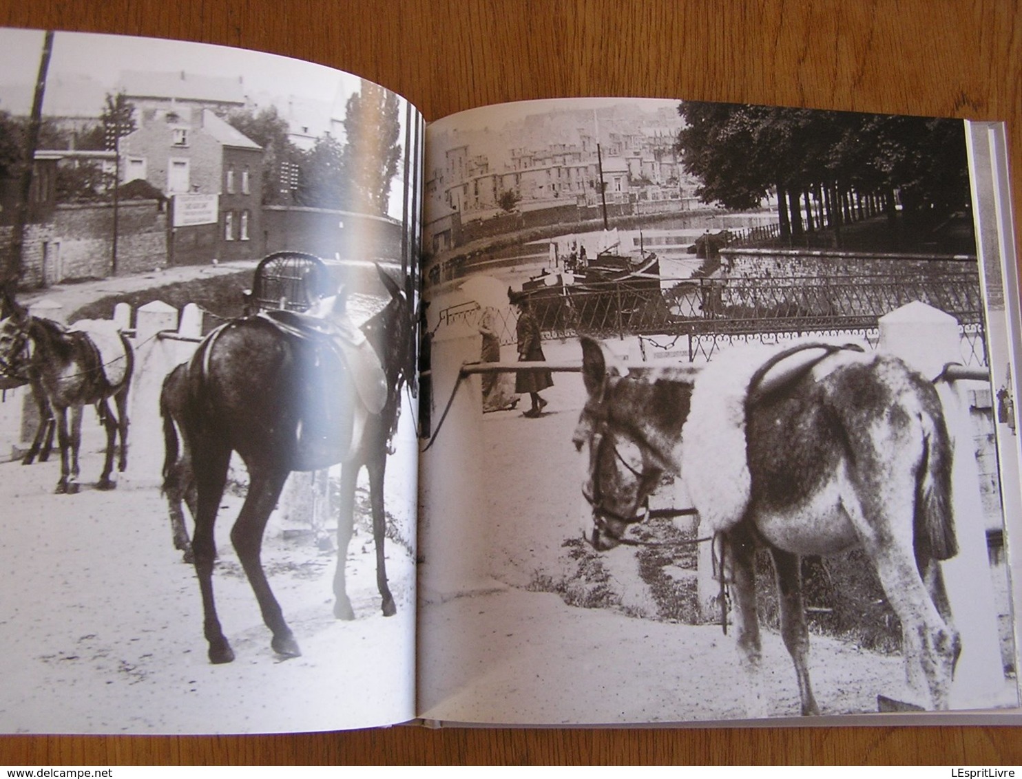 ARCHIVES PHOTOGRAPHIQUES NAMUROISES Tome 1 Régionalisme Photographies Namur Marché Meuse Citadelle Sambre Halage Jambes